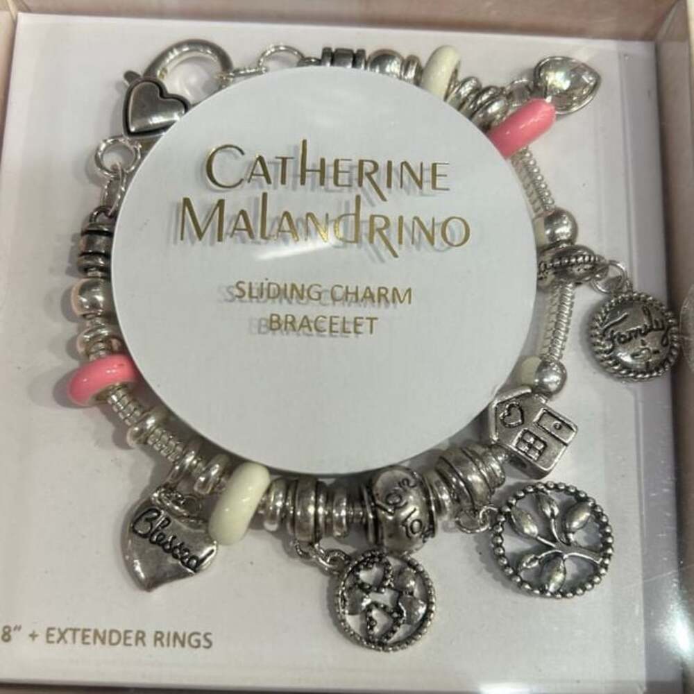 Linx Snake Chain Charm Bracelet with family and Love Themed Charms